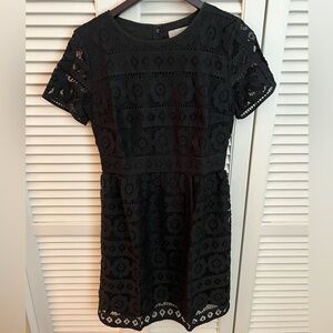 Loft lace dress, NWT